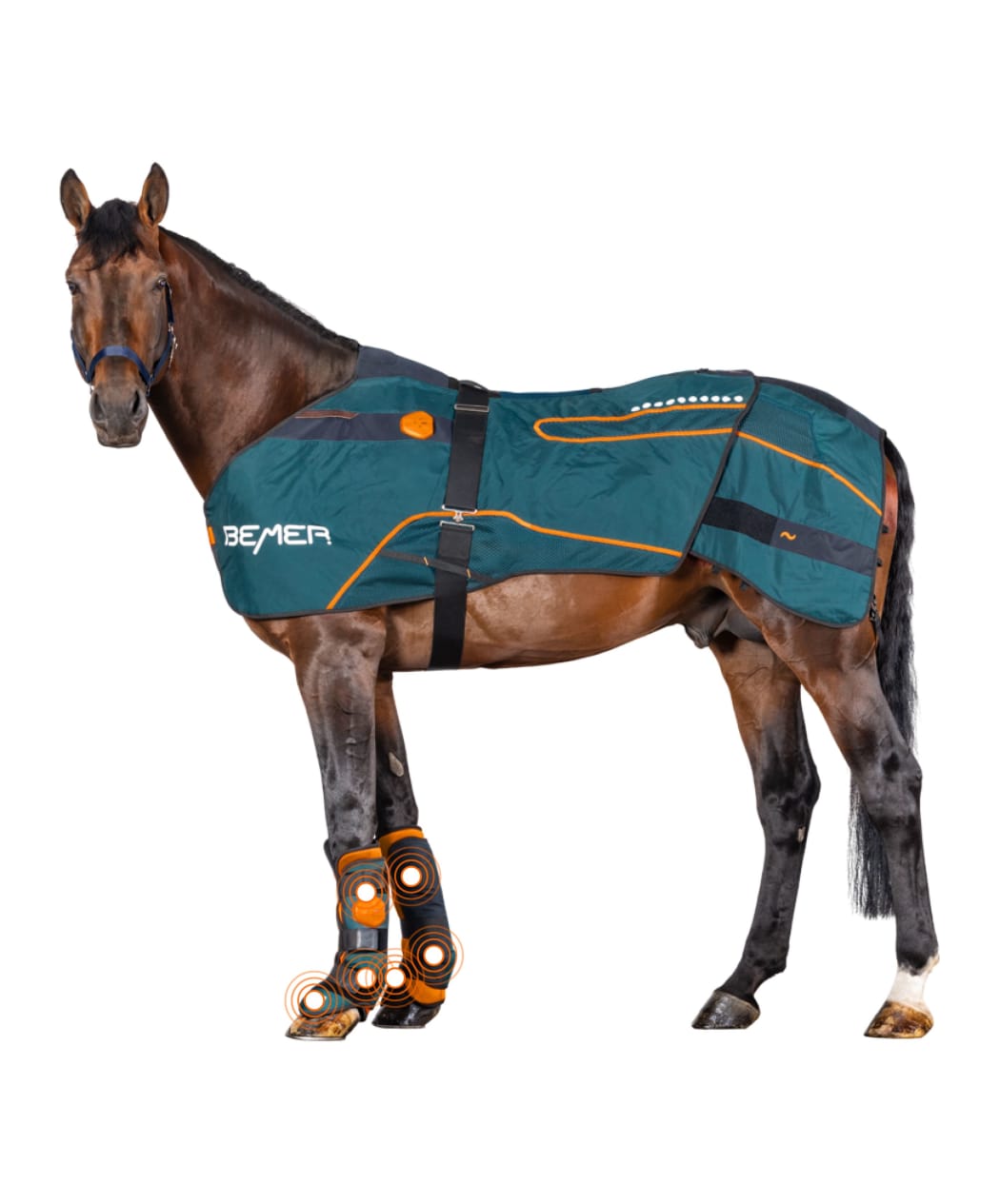 Spring in the Midwest: Why Equine PEMF Matters for Show Prep
